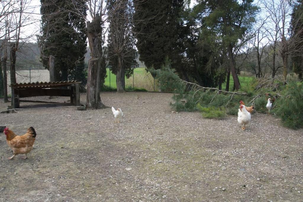 Casa Vacanze Podere San Giusto Volterra Exterior foto